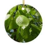Spring Birch Leaves Green Tree Ceramic Ornament