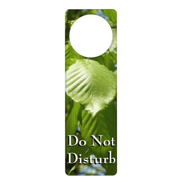 Spring Birch Leaves Green Tree Door Hanger (Front)