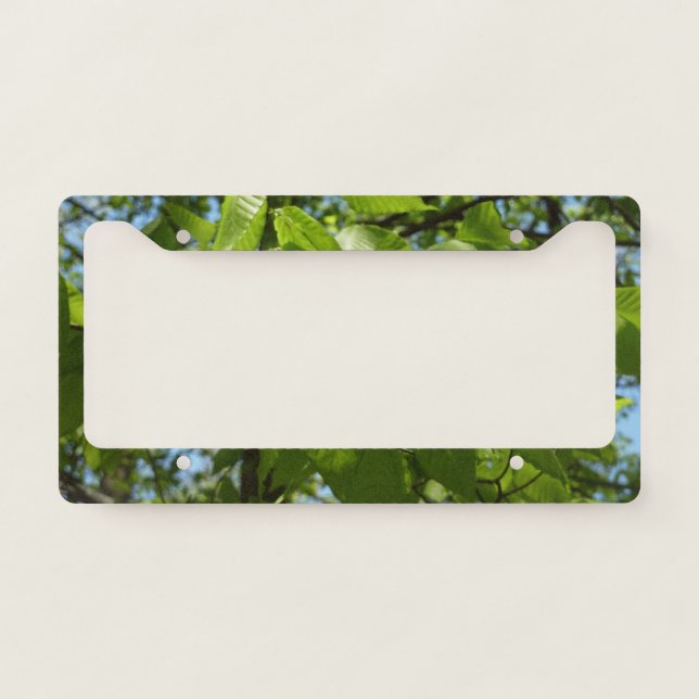 Spring Birch Leaves Green Tree License Plate Frame (Front)