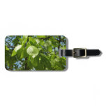 Spring Birch Leaves Green Tree Luggage Tag