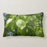 Spring Birch Leaves Green Tree Lumbar Pillow