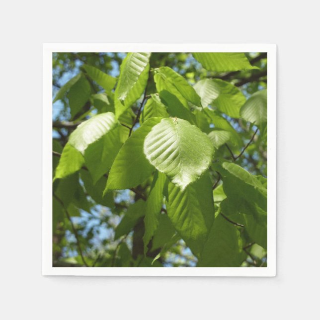 Spring Birch Leaves Green Tree Napkins (Front)