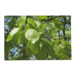 Spring Birch Leaves Green Tree Placemat