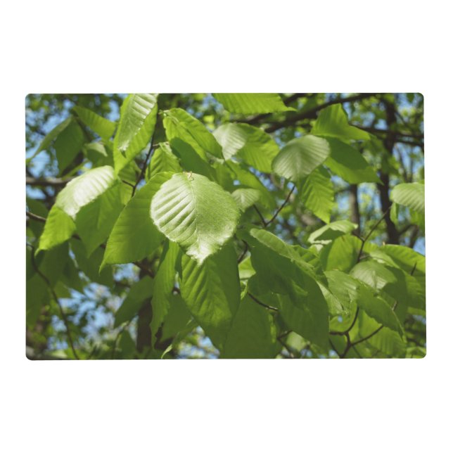 Spring Birch Leaves Green Tree Placemat (Front)