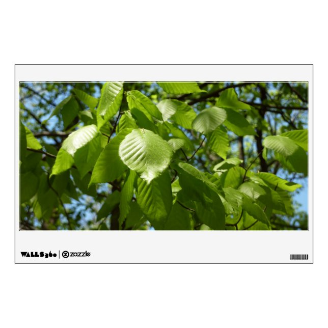 Spring Birch Leaves Green Tree Wall Sticker (Front)
