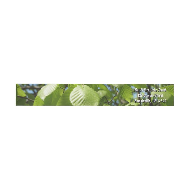 Spring Birch Leaves Green Tree Wrap Around Label (Individual)