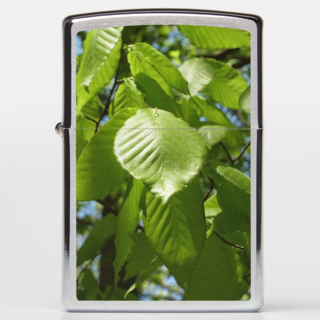 Spring Birch Leaves Green Tree Zippo Lighter (Front)