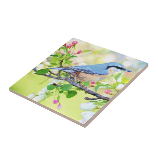 Spring Bird - Beautiful Ceramic Tile (Side)