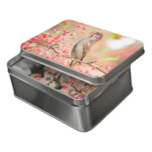 Spring Bird Eating Berries Jigsaw Puzzle