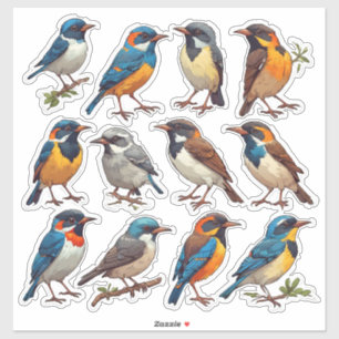 Spring Bird Illustration Sticker Pack 🐦