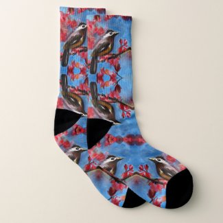 Spring Bird Socks