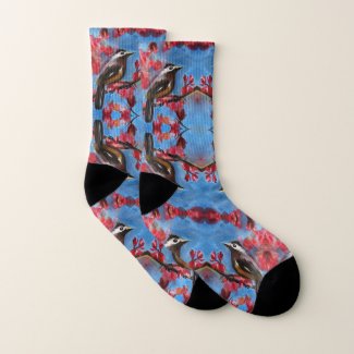 Spring Bird