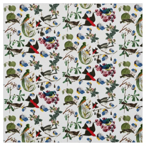 SPRING BIRDS,COLORFUL FEATHERS AND FRUITS Floral Fabric
