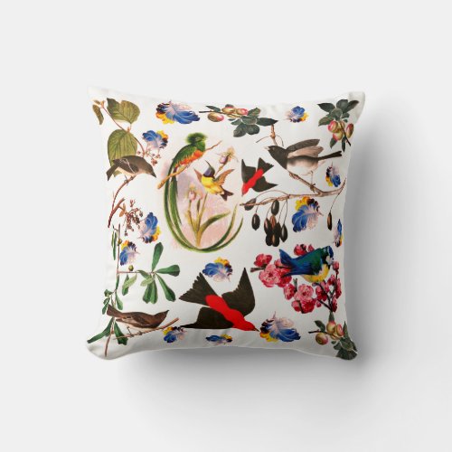 SPRING BIRDSCOLORFUL FEATHERS AND FRUITS Floral Throw Pillow