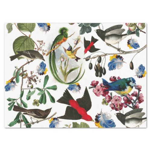 SPRING BIRDSCOLORFUL FEATHERS AND FRUITS Floral Tissue Paper