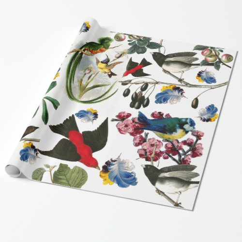 SPRING BIRDSCOLORFUL FEATHERS AND FRUITS Floral Wrapping Paper