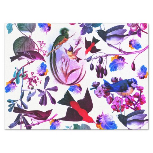 SPRING BIRDSFEATHERSFRUITS Pink Blue Floral Tissue Paper