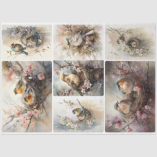 Spring Birds  Tissue Paper