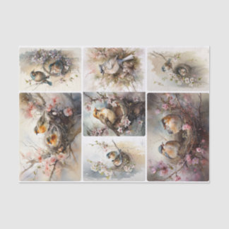 Spring Birds  Tissue Paper