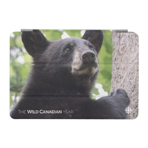 Spring - Black Bear iPad Mini Cover