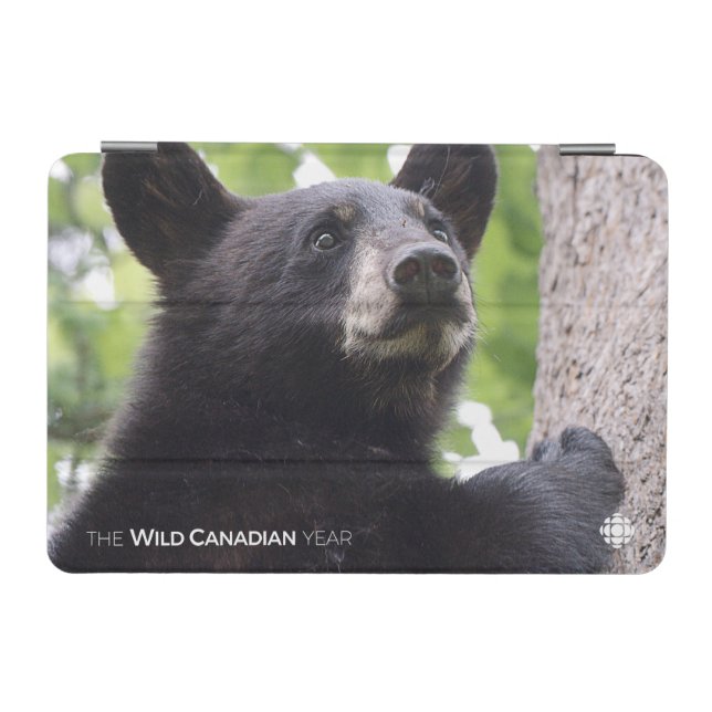 Spring - Black Bear iPad Mini Cover (Horizontal)
