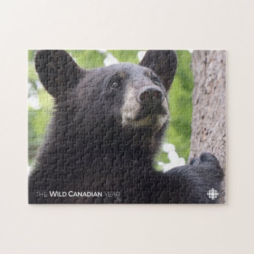 Spring _ Black Bear Jigsaw Puzzle