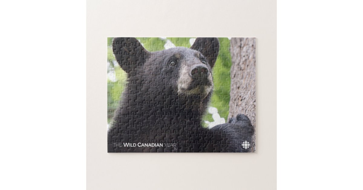 Spring - Black Bear Jigsaw Puzzle | Zazzle