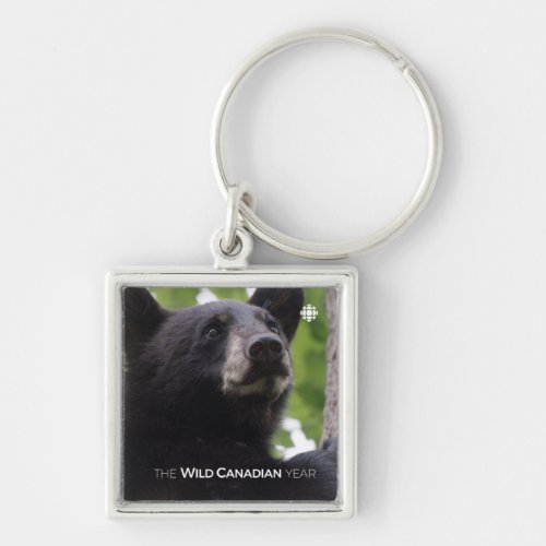 Spring _ Black Bear Keychain