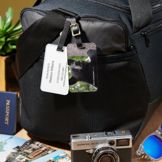 Spring - Black Bear Luggage Tag (Front & Back)