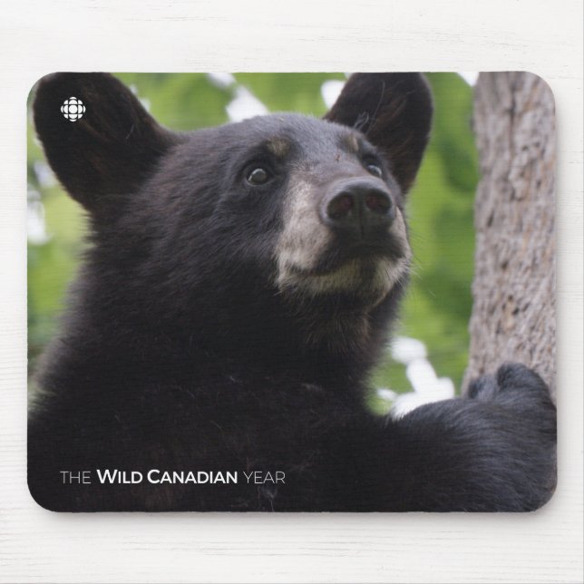 Spring - Black Bear Mouse Pad (Front)