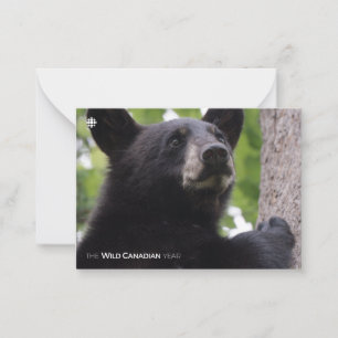 Spring - Black Bear Note Card