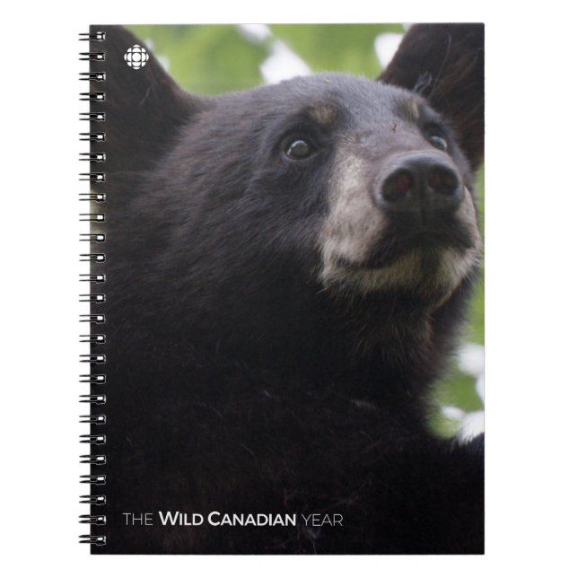 Spring - Black Bear Notebook (Front)