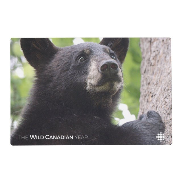Spring - Black Bear Placemat (Front)