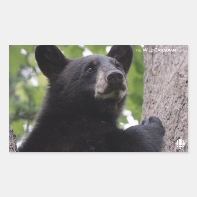 Spring - Black Bear Rectangular Sticker (Front)