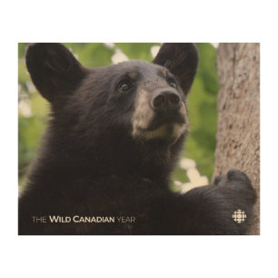 Spring - Black Bear Wood Wall Art