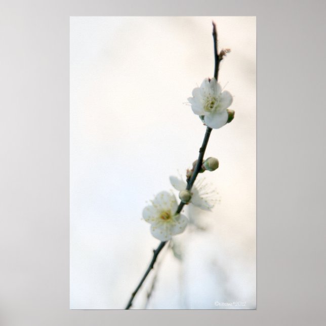 Spring Bliss Poster (Front)