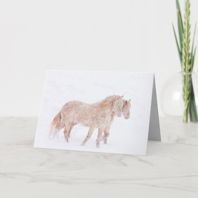 Spring Blizzard - Wild Horse Greeting Card (Front)