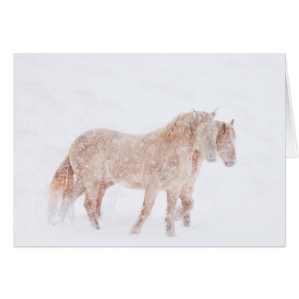 Spring Blizzard - Wild Horse Greeting Card