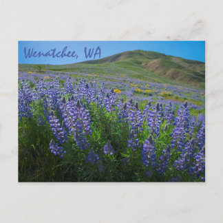 Spring Bloom at Sage Hills Wenatchee, Washington Postcard