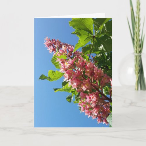 Spring blooming chestnut tree flowers card