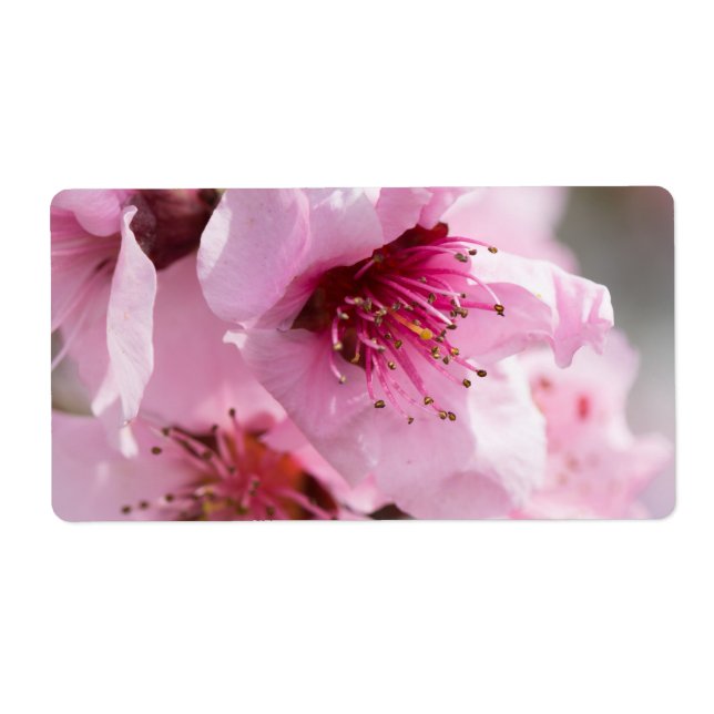 Spring blooming label (Front)