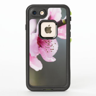Spring blooming
