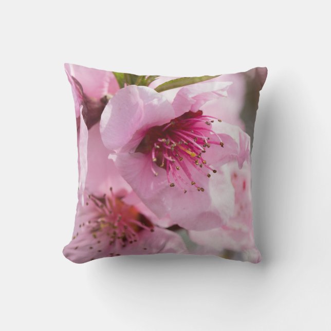 Spring blooming throw pillow (Front)
