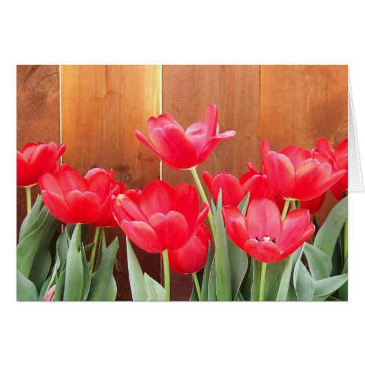 Spring Blooms Cards (Front Horizontal)