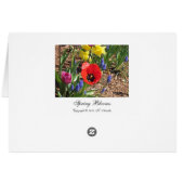 Spring Blooms Cards (Back Horizontal)