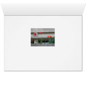 Spring Blooms Cards (Inside Horizontal (Bottom))