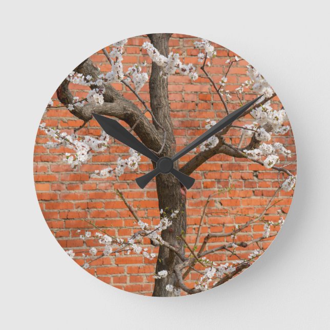 Spring Blossom Apricot Tree Red Brick Wall Round Clock (Front)