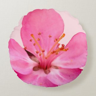 Spring Blossom cushion