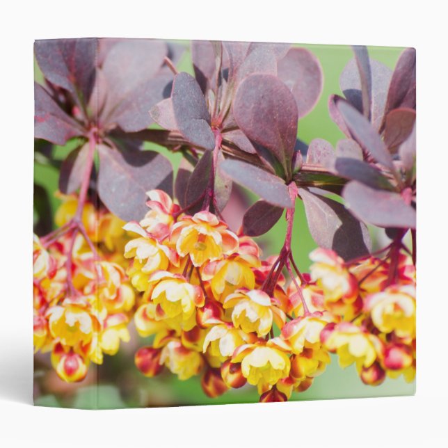 Spring blossoming 3 ring binder (Front/Spine)