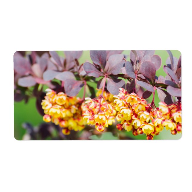 Spring blossoming label (Front)